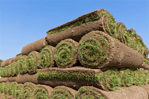 sod installation sacramento|Sacramento Sod Company 